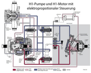 H1 Schema